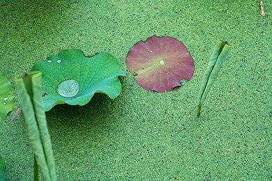 《重装机兵Xeno 重生》现已在Steam发售 支持中文